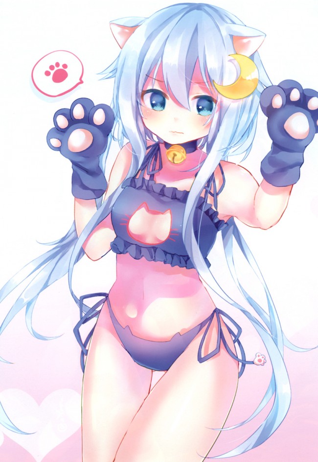 pn006