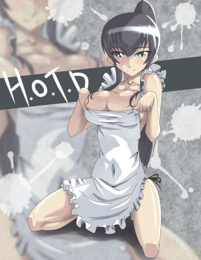 ＨＯＴＤのエロ画像キター！毒島冴子先輩が一番好きですｗｗｗ-13