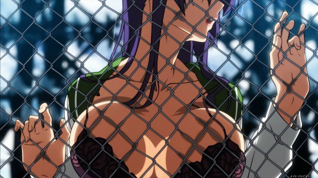 ＨＯＴＤのエロ画像キター！毒島冴子先輩が一番好きですｗｗｗ-8