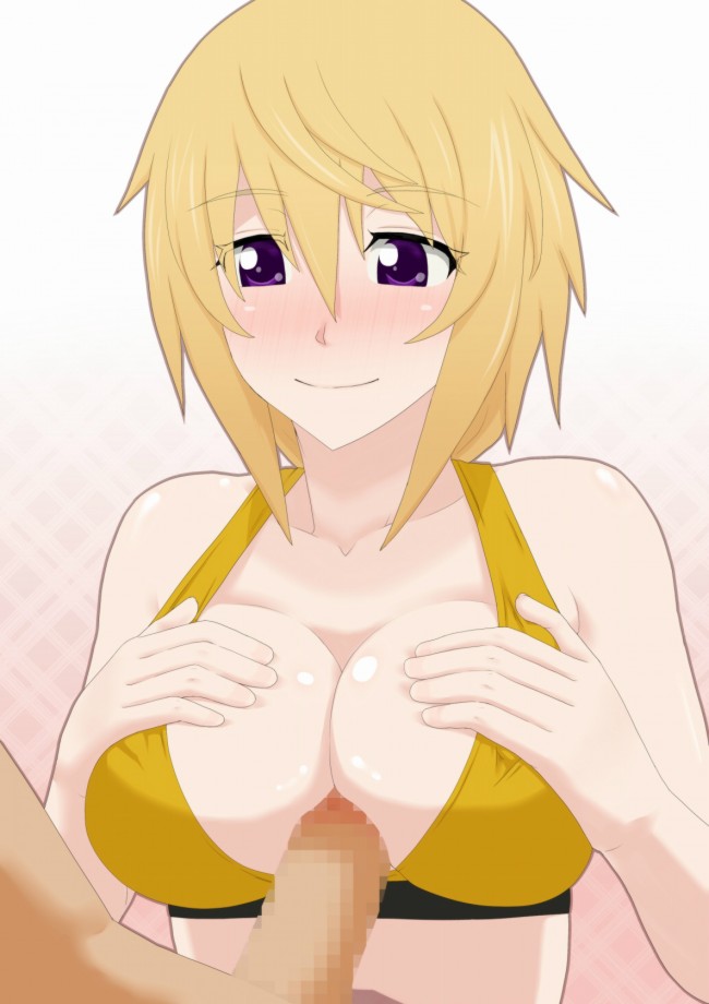 ＩＳのエロ画像キター！シャルのフルカラーエロ画像はいいよｗｗｗｗｗｗｗ 53