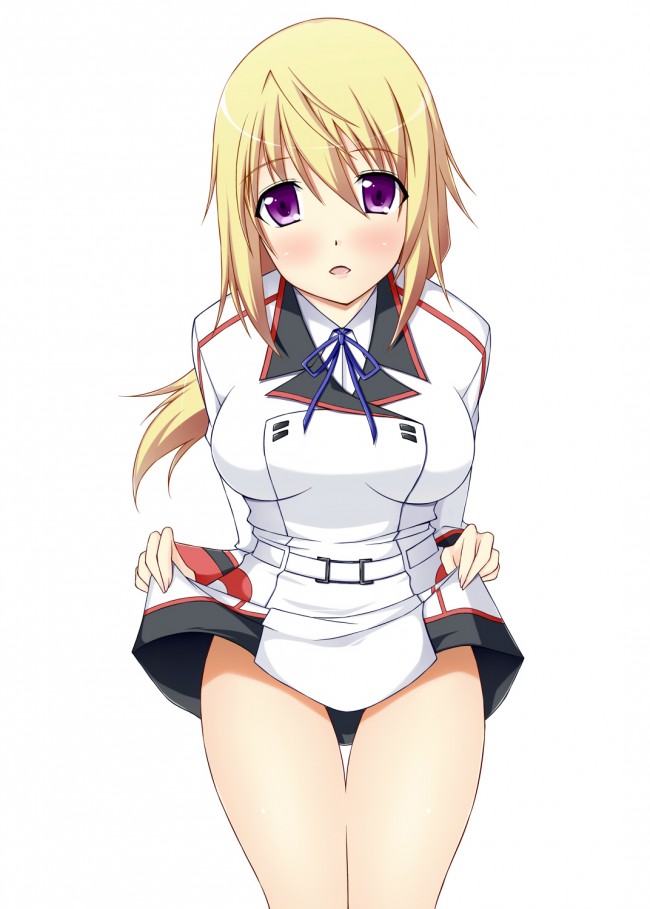 ＩＳのエロ画像キター！シャルのフルカラーエロ画像はいいよｗｗｗｗｗｗｗ 7