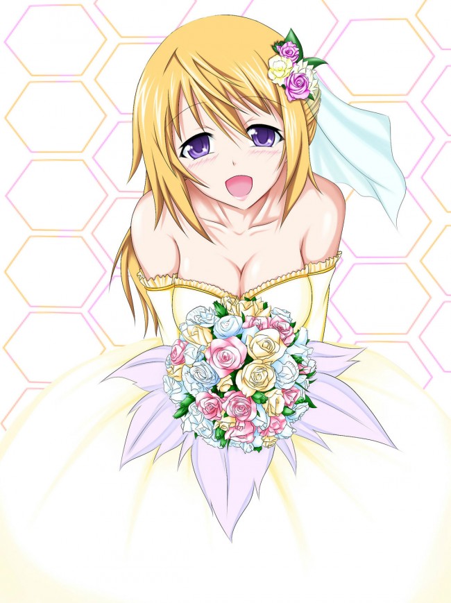 ISのフルカラーエロ画像！シャル可愛いよシャルちゃんペロペロｗｗｗｗｗｗｗｗｗｗｗｗｗｗｗｗ 90