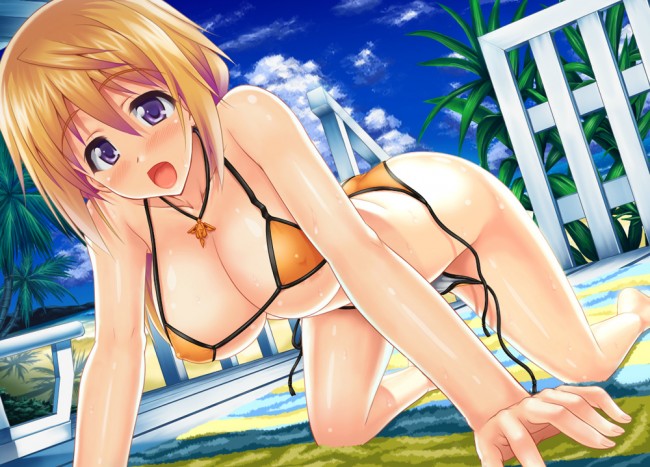 ＩＳのエロ画像キター！シャルのフルカラーエロ画像はいいよｗｗｗｗｗｗｗ 29