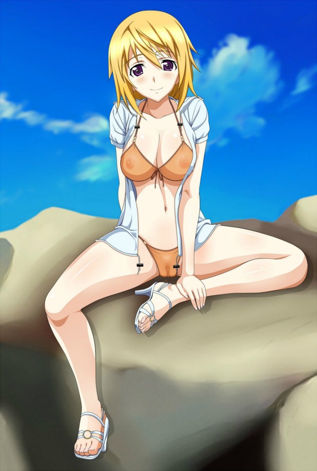 ISのフルカラーエロ画像！シャル可愛いよシャルちゃんペロペロｗｗｗｗｗｗｗｗｗｗｗｗｗｗｗｗ 32