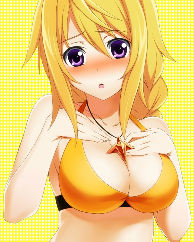 ＩＳのエロ画像キター！シャルのフルカラーエロ画像はいいよｗｗｗｗｗｗｗ 62