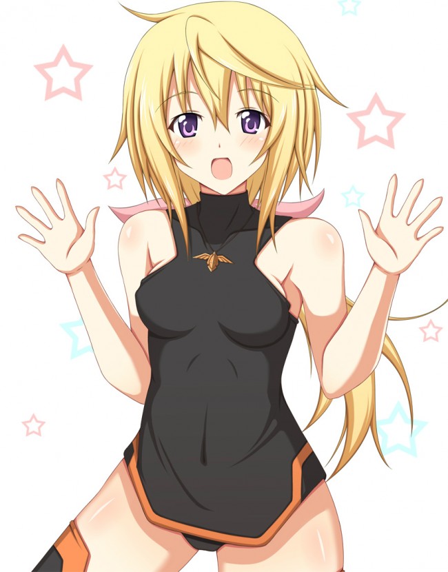 ISのフルカラーエロ画像！シャル可愛いよシャルちゃんペロペロｗｗｗｗｗｗｗｗｗｗｗｗｗｗｗｗ 29