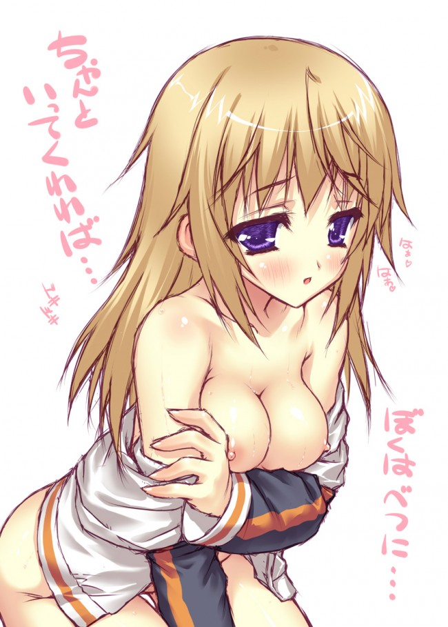 ＩＳのエロ画像キター！シャルのフルカラーエロ画像はいいよｗｗｗｗｗｗｗ 80