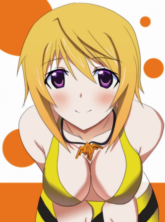 ＩＳのエロ画像キター！シャルのフルカラーエロ画像はいいよｗｗｗｗｗｗｗ 24