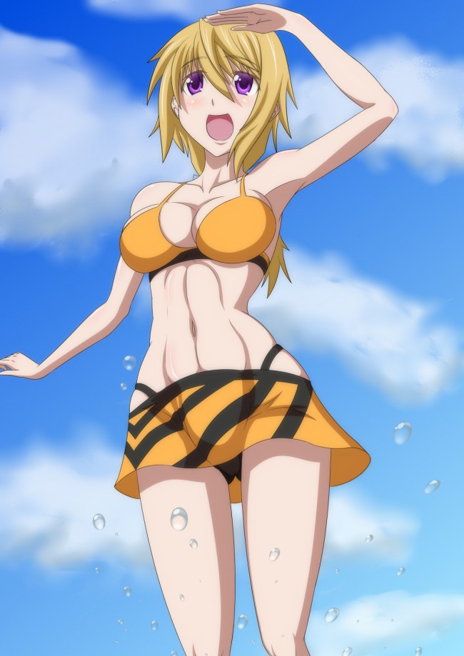 ＩＳのエロ画像キター！シャルのフルカラーエロ画像はいいよｗｗｗｗｗｗｗ 92