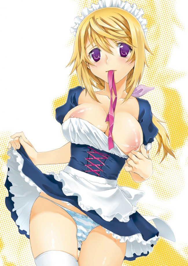 ＩＳのエロ画像キター！シャルのフルカラーエロ画像はいいよｗｗｗｗｗｗｗ 88
