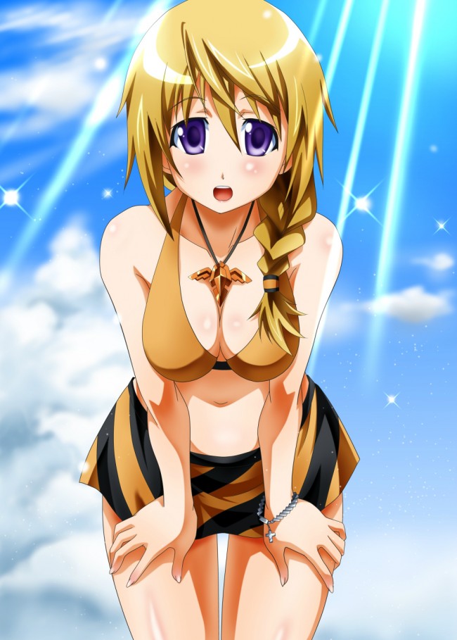 ＩＳのエロ画像キター！シャルのフルカラーエロ画像はいいよｗｗｗｗｗｗｗ 55