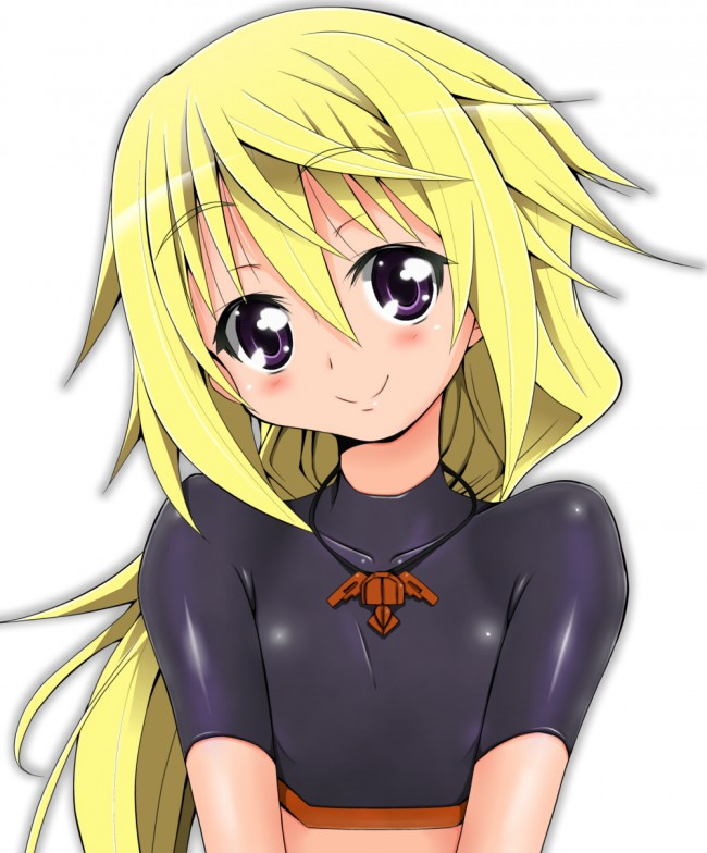 ＩＳのエロ画像キター！シャルのフルカラーエロ画像はいいよｗｗｗｗｗｗｗ 90