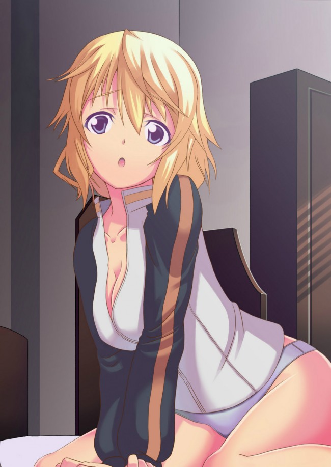 ISのフルカラーエロ画像！シャル可愛いよシャルちゃんペロペロｗｗｗｗｗｗｗｗｗｗｗｗｗｗｗｗ 33