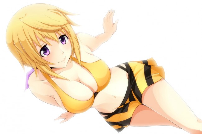 ＩＳのエロ画像キター！シャルのフルカラーエロ画像はいいよｗｗｗｗｗｗｗ 5