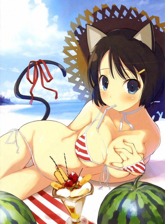 お正月だからこそエロイ水着のエロ画像を見ようじゃないかｗｗｗｗｗｗｗｗｗｗｗｗｗｗｗｗ 10