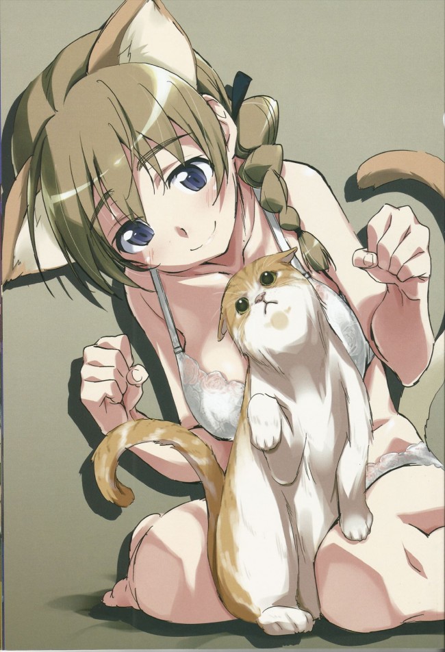 ストパンのフルカラーちょいエロ画像キターｗｗｗｗｗｗｗｗｗｗｗｗｗｗｗｗｗｗｗｗｗｗｗｗｗｗｗｗｗｗ 7