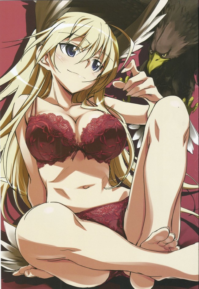 ストパンのフルカラーちょいエロ画像キターｗｗｗｗｗｗｗｗｗｗｗｗｗｗｗｗｗｗｗｗｗｗｗｗｗｗｗｗｗｗ 25