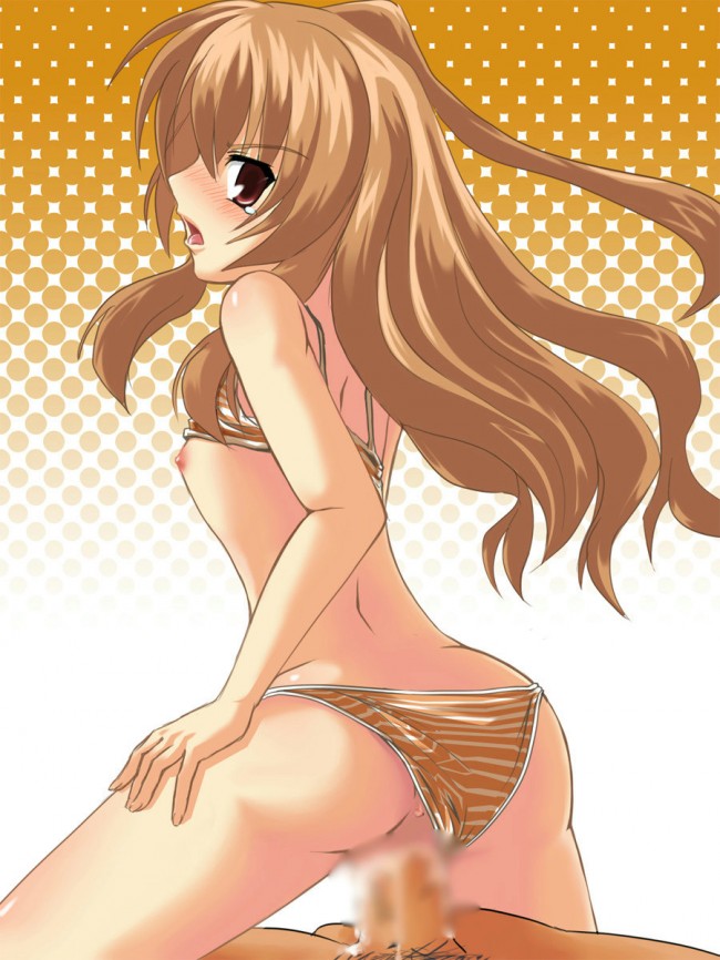 とらドラ!のフルカラーエロ画像キターｗｗｗｗｗｗｗｗｗｗｗｗｗｗｗｗｗｗｗｗｗｗｗｗｗｗｗｗｗｗｗ (30)