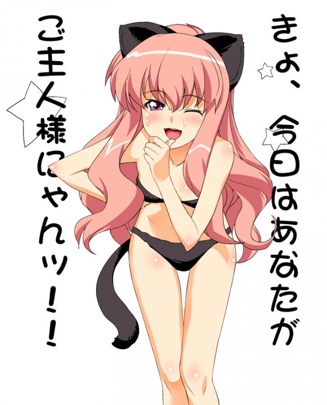 【エロ同人誌】ゼロ魔のフルカラーエロ画像キター！ゼロの使い魔完結編が出る記念！ルイズいぱいーｗｗｗｗｗｗｗｗｗｗｗｗｗｗｗｗｗｗｗｗｗｗｗ (72)