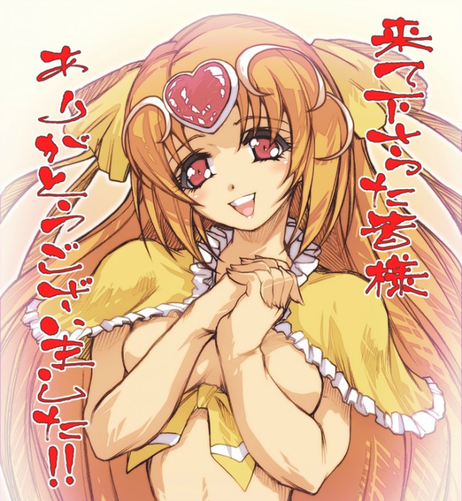 プリキュアのフルカラーエロ画像キタ！もー誰が誰だかわけわからん！ (43)