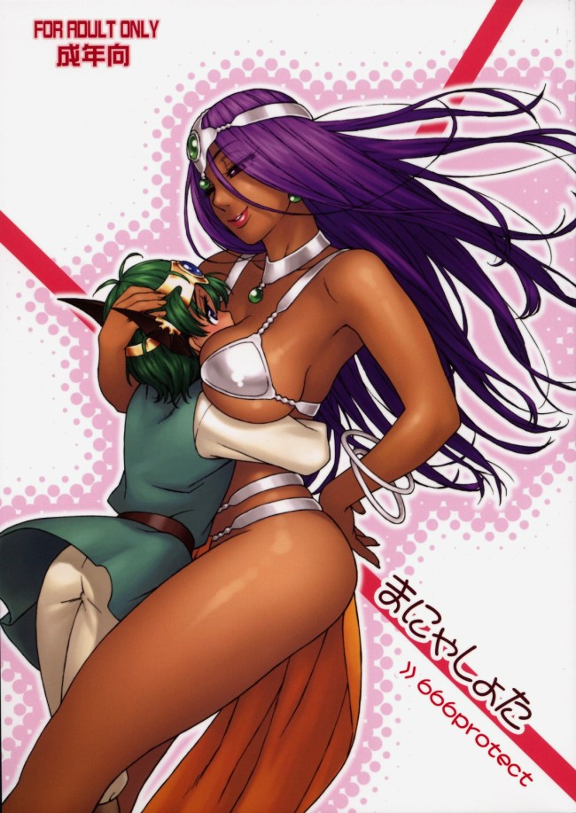 ドラクエのフルカラーエロ画像キター！マーニャにミネアに女勇者とかｗｗｗｗｗｗｗｗｗｗｗｗｗｗｗｗｗｗｗｗ (14)