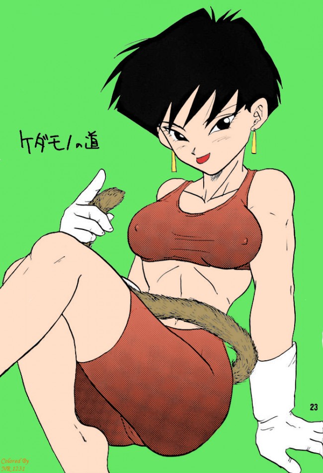 【エロ同人誌】ドラゴンボールのフルカラーエロ画像を100枚ほどドゾｗｗｗｗｗｗｗｗｗｗｗｗｗｗｗｗｗｗｗｗｗｗｗ (67)