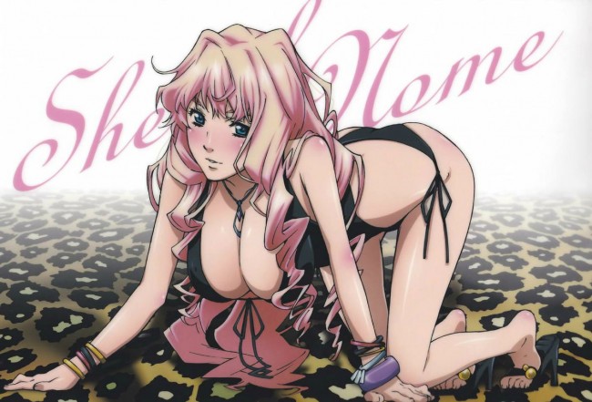 マクロスのフルカラーエロ画像キター！シェリルのエッチなとこ満載ですｗｗｗｗｗｗｗｗｗ (60)