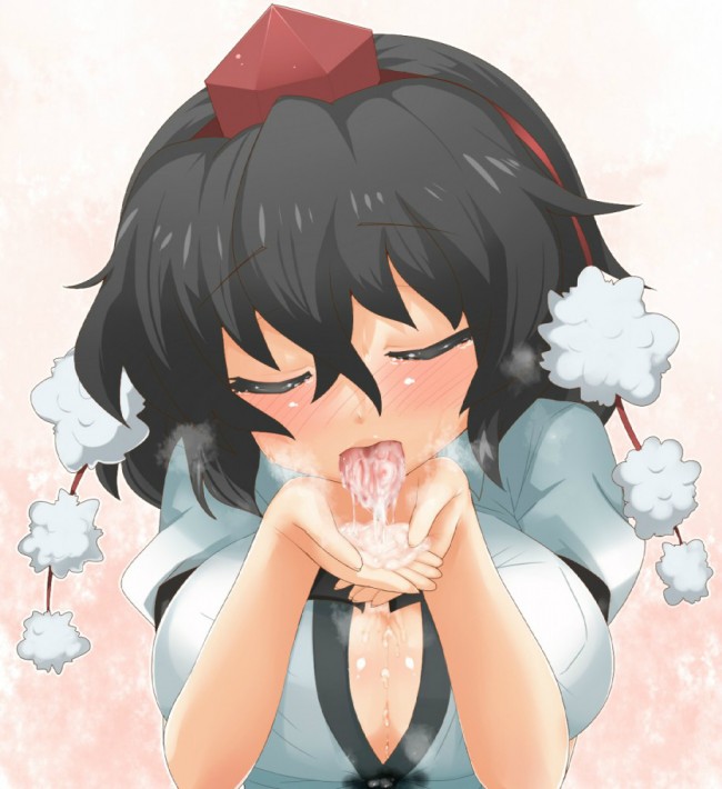 東方Projectのフルカラーエロ同人キター！100枚くらいあるよｗｗｗｗｗｗｗｗｗｗｗ (48)