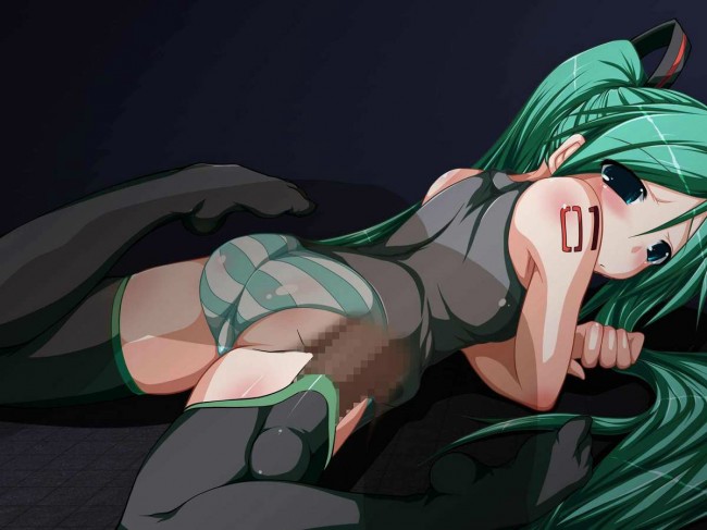  ボーカロイドのフルカラーエロ画像キター！初音ミクたんのエッチｗｗｗｗｗｗｗｗｗｗｗｗ (73)