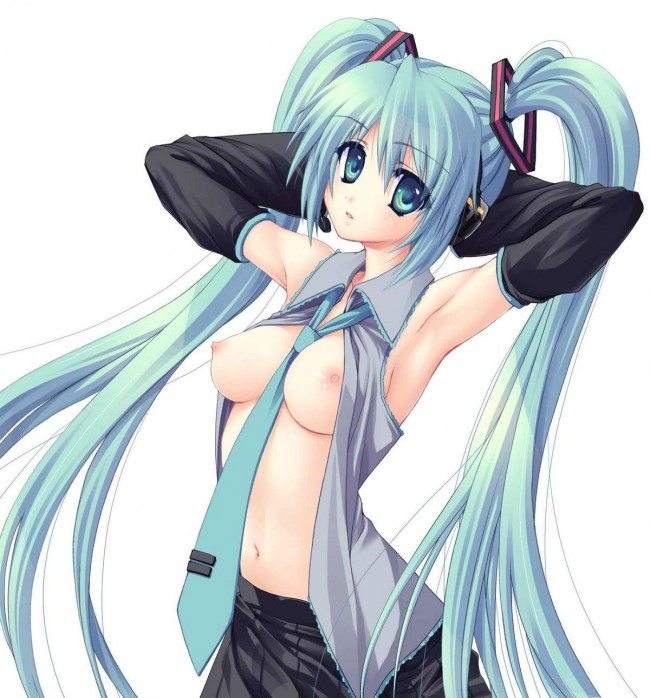  ボーカロイドのフルカラーエロ画像キター！初音ミクたんのエッチｗｗｗｗｗｗｗｗｗｗｗｗ (63)