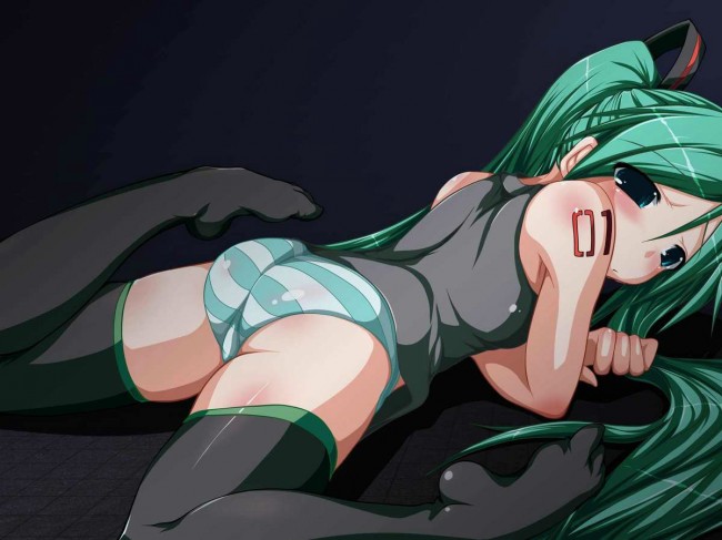  ボーカロイドのフルカラーエロ画像キター！初音ミクたんのエッチｗｗｗｗｗｗｗｗｗｗｗｗ (71)