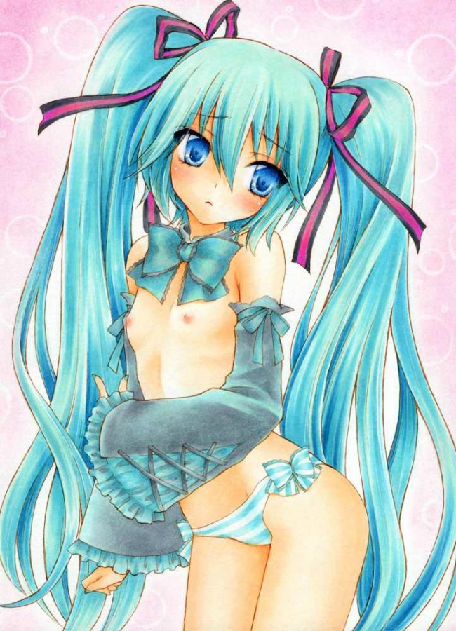 ボーカロイドのフルカラーエロ同人キター！初音みくみくのマンコは世界一ｗｗｗｗｗｗｗｗｗｗｗｗｗｗｗｗｗｗｗ (27)