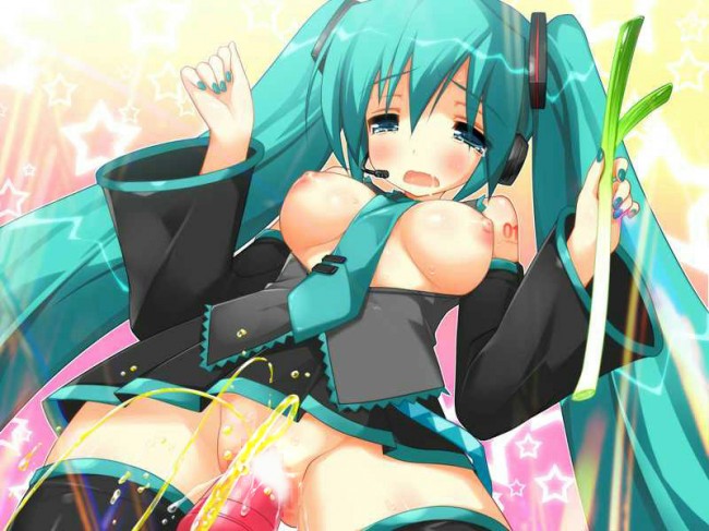 ボーカロイドのフルカラーエロ同人キター！ミクミクにルカ姉のエッチがいっぱいｗｗｗｗｗｗｗｗｗ (21)