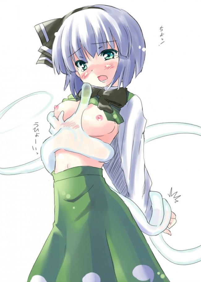 東方Projectのフルカラーエロ同人キター！100枚くらいあるよｗｗｗｗｗｗｗｗｗｗｗ (25)