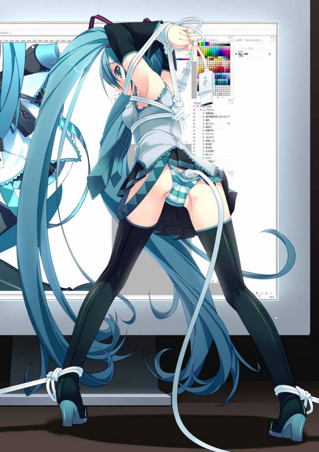 ボーカロイドのフルカラーエロ同人キター！初音ミクミクのおまんこにおちんこいれたいｗｗｗｗｗｗｗｗｗｗ (27)