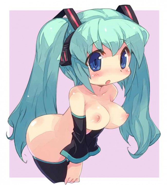 ボーカロイドのフルカラーエロ同人キター！初音ミクのミクミクをミクミクしたいｗｗｗｗｗｗｗｗｗｗｗｗｗｗ (8)