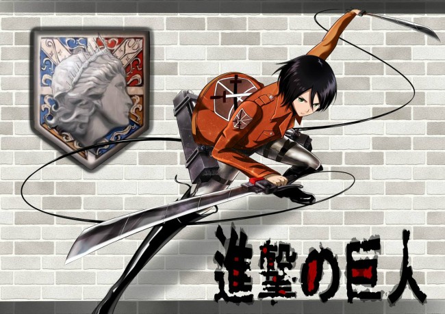 進撃の巨人のフルカラー同人キター！ミカサだけじゃなくてちょいちょいＢＬっぽいのが入っていますｗｗｗｗｗｗｗｗ (33)