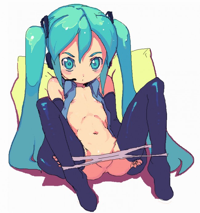ボーカロイドのフルカラーエロ同人キター！初音ミクのミクミクをミクミクしたいｗｗｗｗｗｗｗｗｗｗｗｗｗｗ (57)