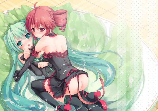 ボーカロイドのフルカラーエロ同人キター！ミクミクがエッチな事たくさんしてるｗｗｗｗｗｗｗｗｗ (11)
