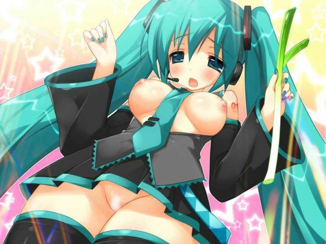 ボーカロイドのフルカラーエロ同人キター！ミクミクにルカ姉のエッチがいっぱいｗｗｗｗｗｗｗｗｗ (19)