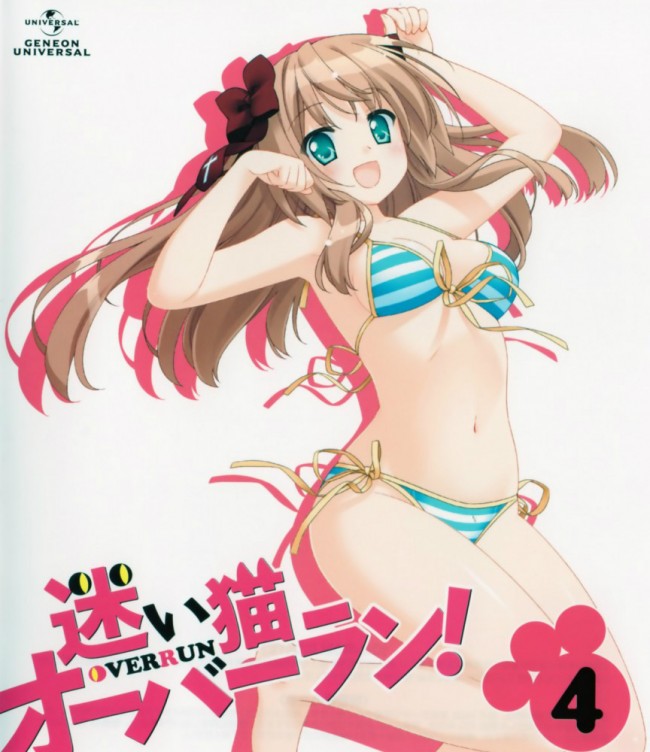 迷い猫オーバーラン!のフルカラーエロ漫画同人キターｗｗｗｗｗｗｗｗｗｗｗｗｗｗｗｗｗｗｗ (3)