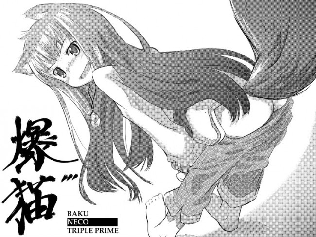 狼と香辛料のフルカラーエロ漫画同人キター！狼ミミのホロたんカワイイｗｗｗｗｗｗｗｗｗｗｗｗｗｗｗｗ (41)