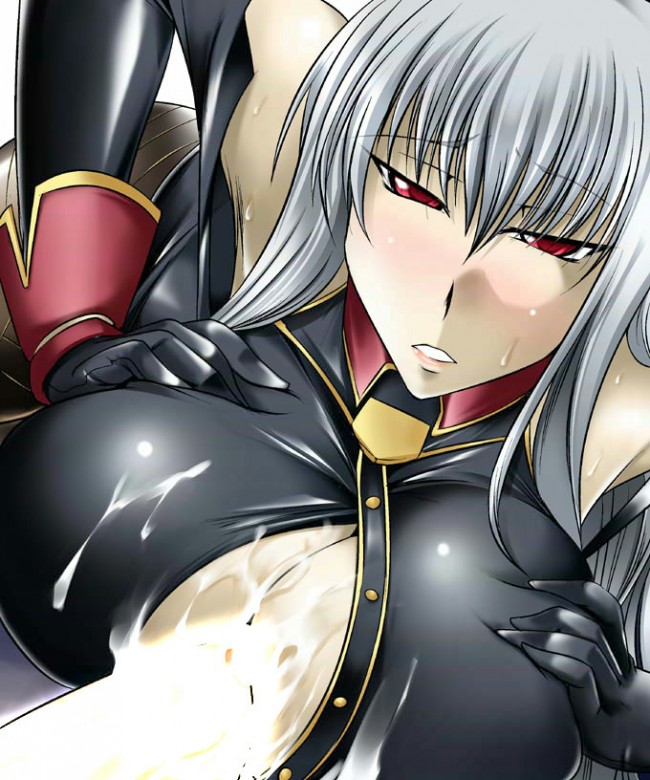 セルベリアのフルカラーエロ画像！！乱交やフタナリちんこなど多彩にｗｗｗ (10)