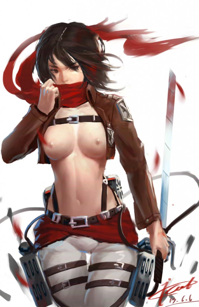 進撃の巨人ミカサがエレンとのラブラブエッチなどフルカラーエロ画像！！ (11)