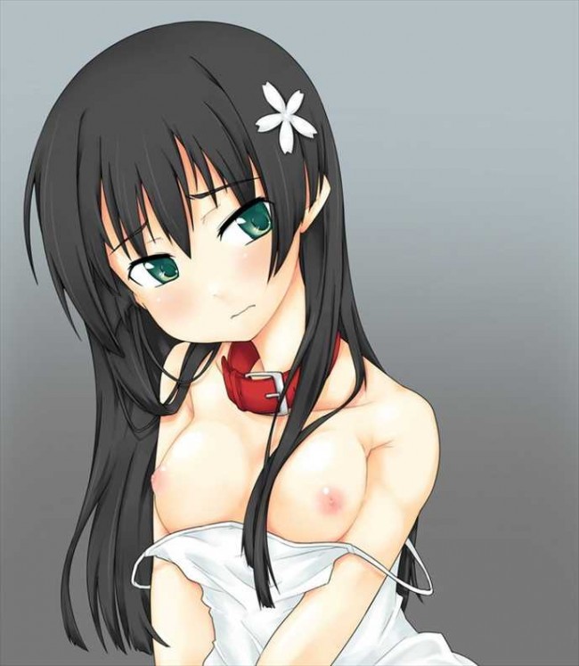 とある魔術の禁書目録のフルカラーエロ画像をたっぷり６０枚程どうぞ～ｗｗｗｗｗｗｗｗｗ (28)