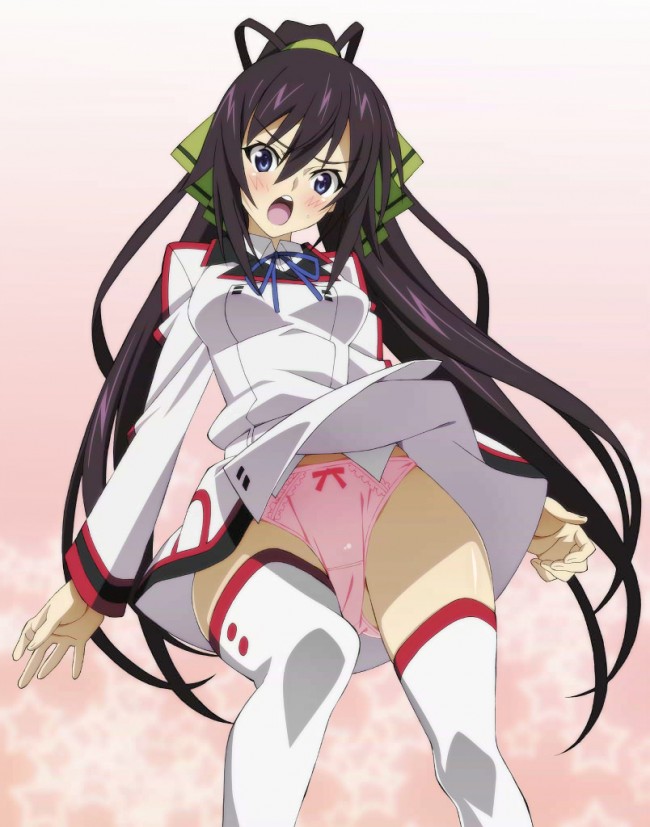 ISの美女達勢ぞろいのフルカラーエロ画像だよ～！！！ (10)