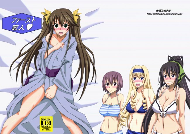 バニーコスで複数ちんこに囲まれたり搾乳プレイなどＩＳのフルカラーエロ同人画像！！ (10)