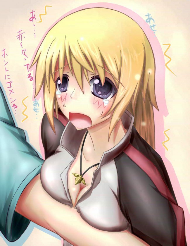 セシリアやシャルルらISの美少女達のフルカラーエロ同人画像５０枚程！！ (19)