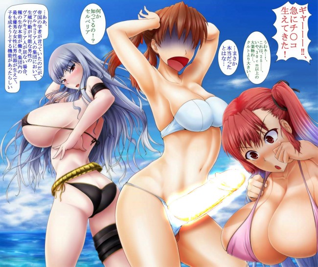 セクシーボディ、セルベリア・ブレスのフルカラーエロ画像！！ (6)