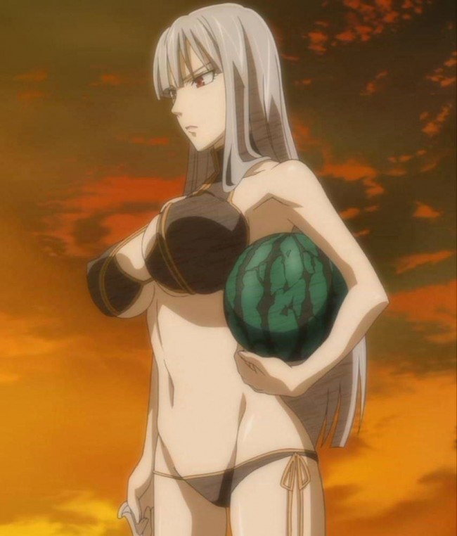 セルベリアのフルカラーエロ画像！！乱交やフタナリちんこなど多彩にｗｗｗ (26)